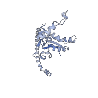 10315_6sv4_AU_v1-2
The cryo-EM structure of SDD1-stalled collided trisome.