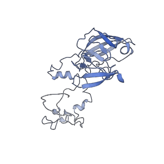 10315_6sv4_AW_v1-2
The cryo-EM structure of SDD1-stalled collided trisome.