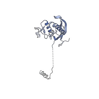 10315_6sv4_AX_v1-2
The cryo-EM structure of SDD1-stalled collided trisome.