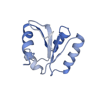10315_6sv4_AY_v1-2
The cryo-EM structure of SDD1-stalled collided trisome.