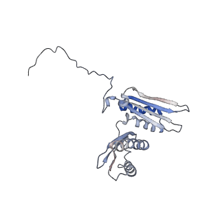 10315_6sv4_Ab_v1-2
The cryo-EM structure of SDD1-stalled collided trisome.