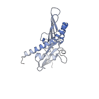 10315_6sv4_Ac_v1-2
The cryo-EM structure of SDD1-stalled collided trisome.
