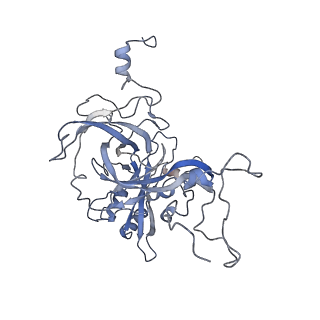 10315_6sv4_BA_v1-2
The cryo-EM structure of SDD1-stalled collided trisome.