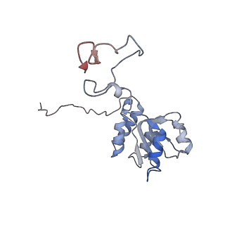 10315_6sv4_BB_v1-2
The cryo-EM structure of SDD1-stalled collided trisome.