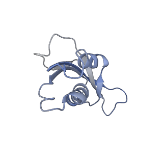 10315_6sv4_BC_v1-2
The cryo-EM structure of SDD1-stalled collided trisome.