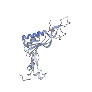 10315_6sv4_BD_v1-2
The cryo-EM structure of SDD1-stalled collided trisome.