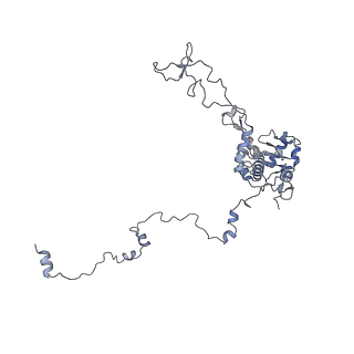 10315_6sv4_BE_v1-2
The cryo-EM structure of SDD1-stalled collided trisome.