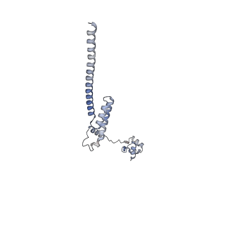 10315_6sv4_BF_v1-2
The cryo-EM structure of SDD1-stalled collided trisome.
