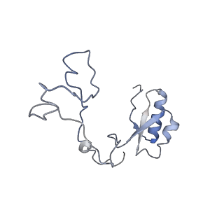 10315_6sv4_BG_v1-2
The cryo-EM structure of SDD1-stalled collided trisome.