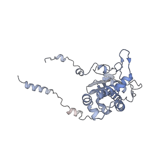 10315_6sv4_BI_v1-2
The cryo-EM structure of SDD1-stalled collided trisome.