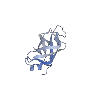 10315_6sv4_BK_v1-2
The cryo-EM structure of SDD1-stalled collided trisome.