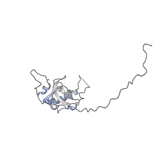 10315_6sv4_BM_v1-2
The cryo-EM structure of SDD1-stalled collided trisome.