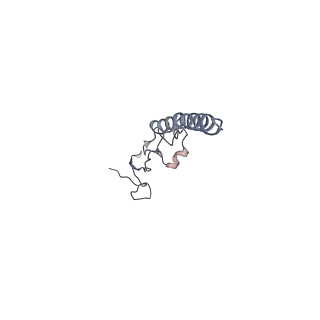 10315_6sv4_BN_v1-2
The cryo-EM structure of SDD1-stalled collided trisome.