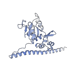 10315_6sv4_BO_v1-2
The cryo-EM structure of SDD1-stalled collided trisome.
