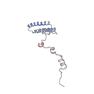 10315_6sv4_BP_v1-2
The cryo-EM structure of SDD1-stalled collided trisome.