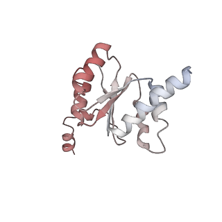 10315_6sv4_BU_v1-2
The cryo-EM structure of SDD1-stalled collided trisome.