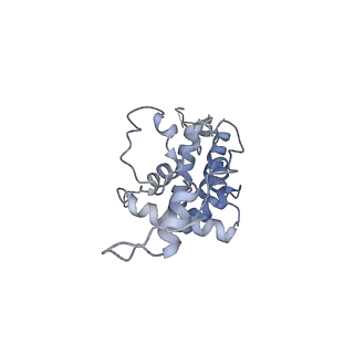 10315_6sv4_B_v1-2
The cryo-EM structure of SDD1-stalled collided trisome.