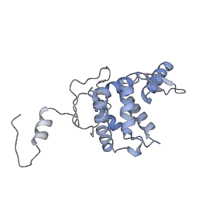 10315_6sv4_Bb_v1-2
The cryo-EM structure of SDD1-stalled collided trisome.