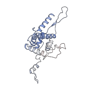10315_6sv4_Bc_v1-2
The cryo-EM structure of SDD1-stalled collided trisome.