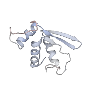 10315_6sv4_C_v1-2
The cryo-EM structure of SDD1-stalled collided trisome.