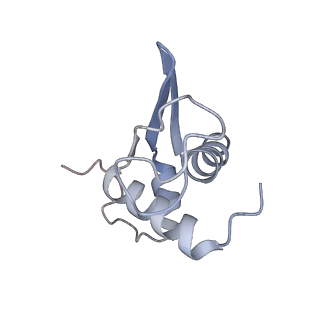 10315_6sv4_Cb_v1-2
The cryo-EM structure of SDD1-stalled collided trisome.
