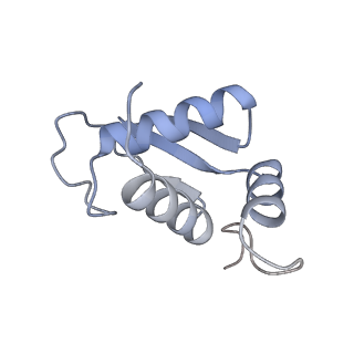 10315_6sv4_Cc_v1-2
The cryo-EM structure of SDD1-stalled collided trisome.