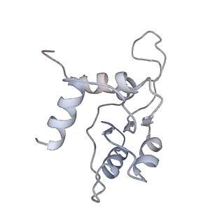 10315_6sv4_D_v1-2
The cryo-EM structure of SDD1-stalled collided trisome.