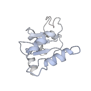 10315_6sv4_Db_v1-2
The cryo-EM structure of SDD1-stalled collided trisome.