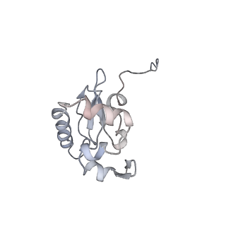 10315_6sv4_E_v1-2
The cryo-EM structure of SDD1-stalled collided trisome.