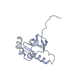 10315_6sv4_Eb_v1-2
The cryo-EM structure of SDD1-stalled collided trisome.