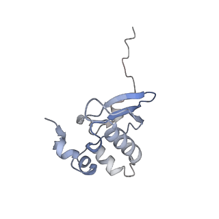 10315_6sv4_Ec_v1-2
The cryo-EM structure of SDD1-stalled collided trisome.