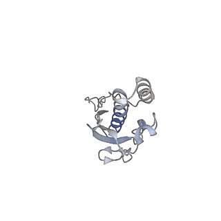 10315_6sv4_F_v1-2
The cryo-EM structure of SDD1-stalled collided trisome.