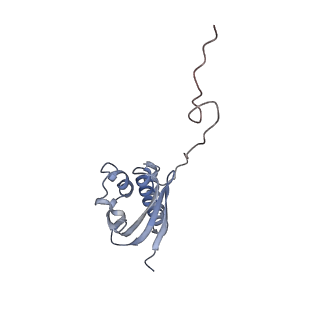 10315_6sv4_Fc_v1-2
The cryo-EM structure of SDD1-stalled collided trisome.