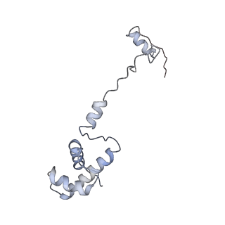 10315_6sv4_G_v1-2
The cryo-EM structure of SDD1-stalled collided trisome.