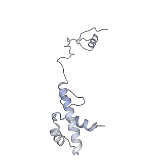 10315_6sv4_Gb_v1-2
The cryo-EM structure of SDD1-stalled collided trisome.