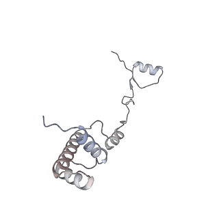 10315_6sv4_Gc_v1-2
The cryo-EM structure of SDD1-stalled collided trisome.