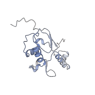10315_6sv4_Hb_v1-2
The cryo-EM structure of SDD1-stalled collided trisome.