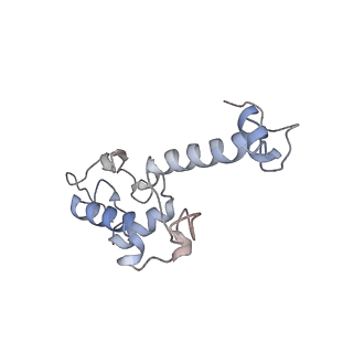 10315_6sv4_Hc_v1-2
The cryo-EM structure of SDD1-stalled collided trisome.