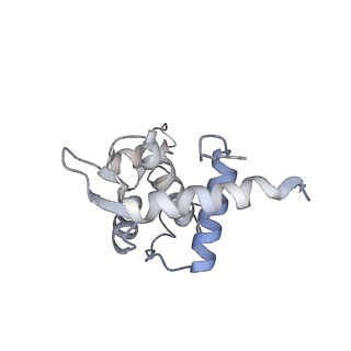 10315_6sv4_I_v1-2
The cryo-EM structure of SDD1-stalled collided trisome.