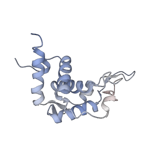 10315_6sv4_Ib_v1-2
The cryo-EM structure of SDD1-stalled collided trisome.