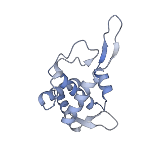 10315_6sv4_Ic_v1-2
The cryo-EM structure of SDD1-stalled collided trisome.