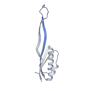 10315_6sv4_Jc_v1-2
The cryo-EM structure of SDD1-stalled collided trisome.