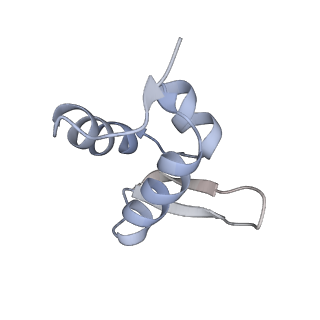 10315_6sv4_Kc_v1-2
The cryo-EM structure of SDD1-stalled collided trisome.