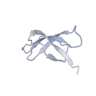 10315_6sv4_L_v1-2
The cryo-EM structure of SDD1-stalled collided trisome.