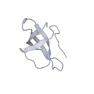 10315_6sv4_Lb_v1-2
The cryo-EM structure of SDD1-stalled collided trisome.