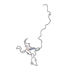 10315_6sv4_Nb_v1-2
The cryo-EM structure of SDD1-stalled collided trisome.