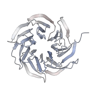 10315_6sv4_O_v1-2
The cryo-EM structure of SDD1-stalled collided trisome.