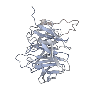 10315_6sv4_Ob_v1-2
The cryo-EM structure of SDD1-stalled collided trisome.