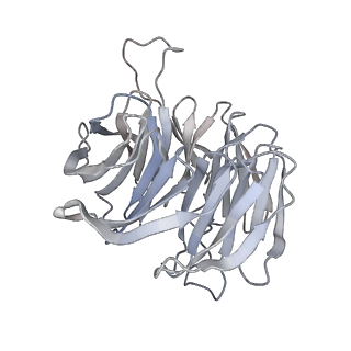 10315_6sv4_Oc_v1-2
The cryo-EM structure of SDD1-stalled collided trisome.