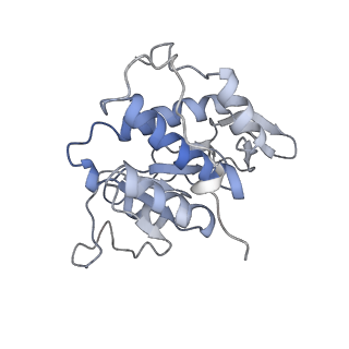 10315_6sv4_P_v1-2
The cryo-EM structure of SDD1-stalled collided trisome.